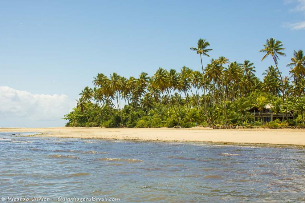 Imagem das belezas natural da Praia de Bainema, um mar azul maravilhoso e coqueiros imponentes.
